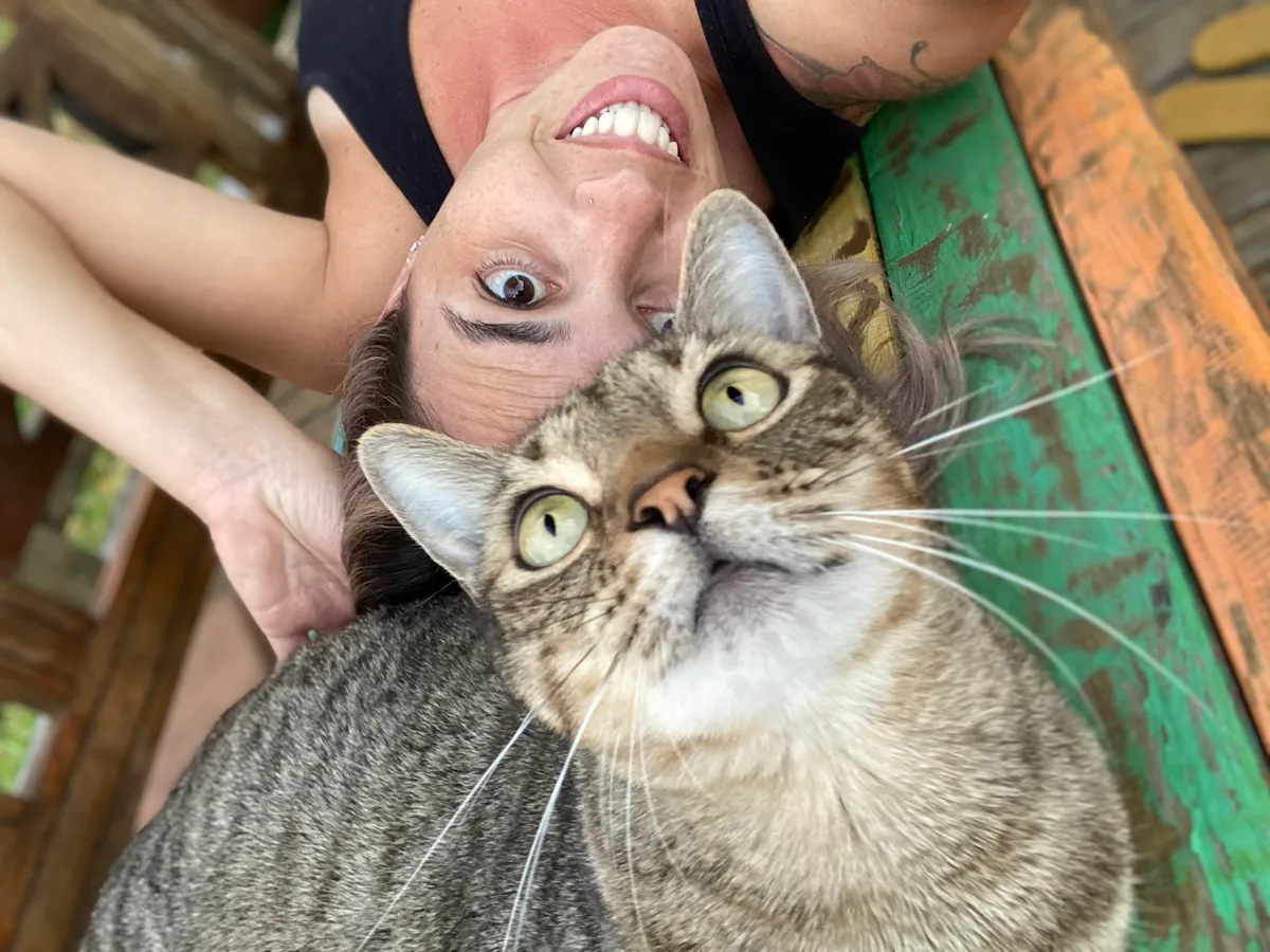 Gato de estimação de Renata Sampaio